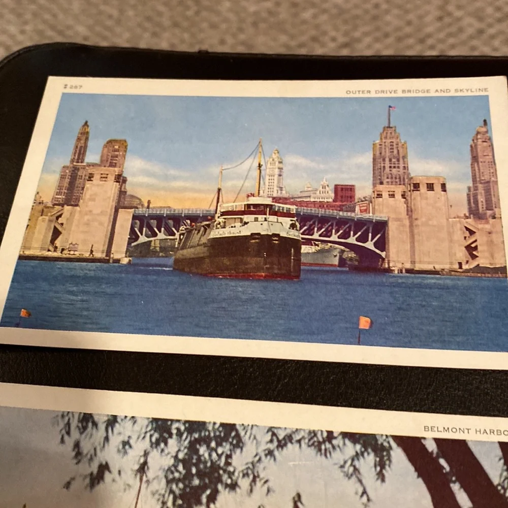 9 Vintage postcards of Chicago. 6 are of the natural history museum circa 1940